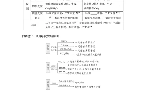 第三单元　第14课时　无氧呼吸、细胞呼吸的影响因素及其应用_新高考复习资料_2025年新高考资料_2025新高考一轮复习生物_2025大一轮复习讲义生物人教版学生用书Word版文档整书