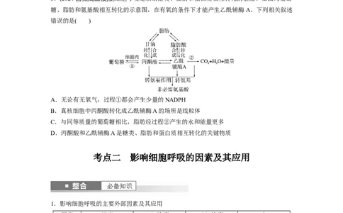 第三单元　第14课时　无氧呼吸、细胞呼吸的影响因素及其应用_新高考复习资料_2025年新高考资料_2025新高考一轮复习生物_2025大一轮复习讲义生物人教版学生用书Word版文档整书