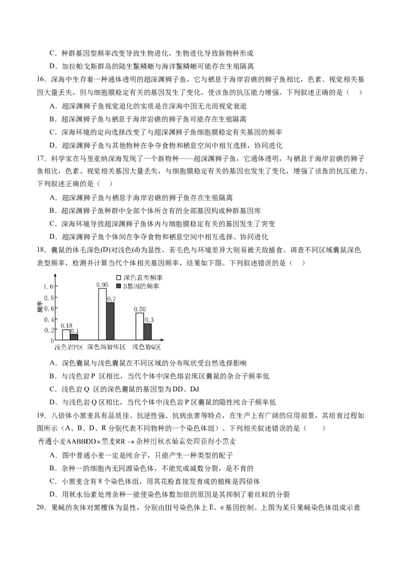 第七单元生物的变异和进化（测试）（原卷版）_2025年新高考资料_一轮复习_2025年高考生物一轮复习讲练测（新教材新高考）