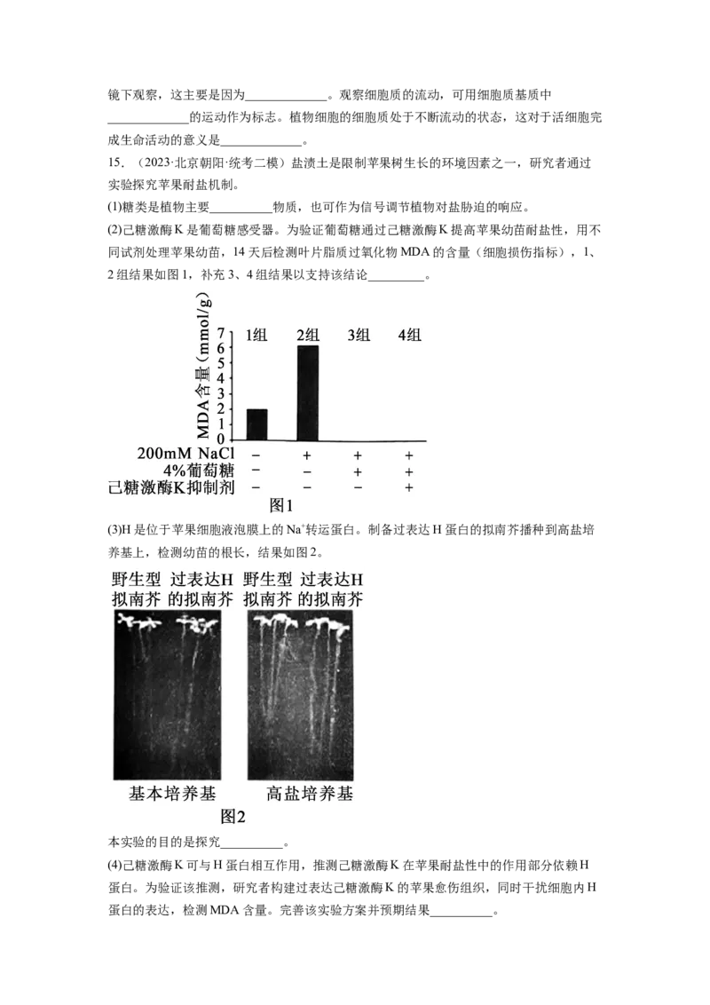 第7讲物质运输（第1课时水进出细胞的原理）（练习）（原卷版）_新高考复习资料_2024年新高考复习资料_一轮复习资料_完2024年高考生物一轮复习讲练测(课件+讲义+练习)（新高考）