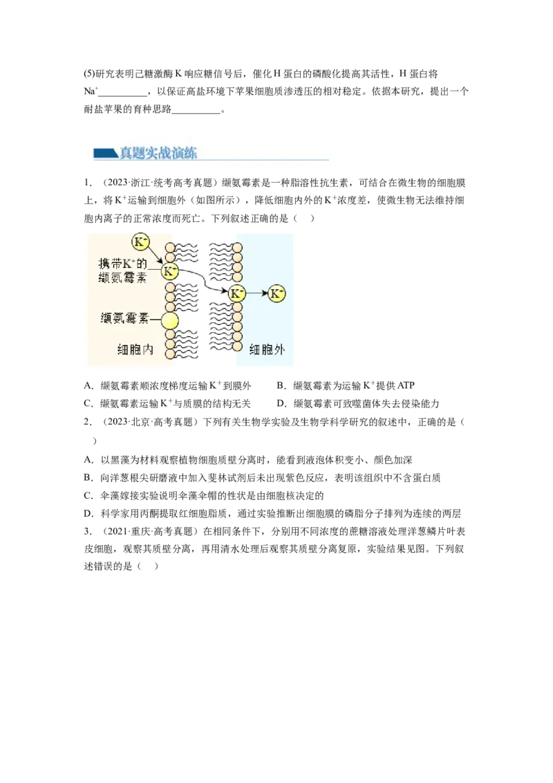 第7讲物质运输（第1课时水进出细胞的原理）（练习）（原卷版）_新高考复习资料_2024年新高考复习资料_一轮复习资料_完2024年高考生物一轮复习讲练测(课件+讲义+练习)（新高考）