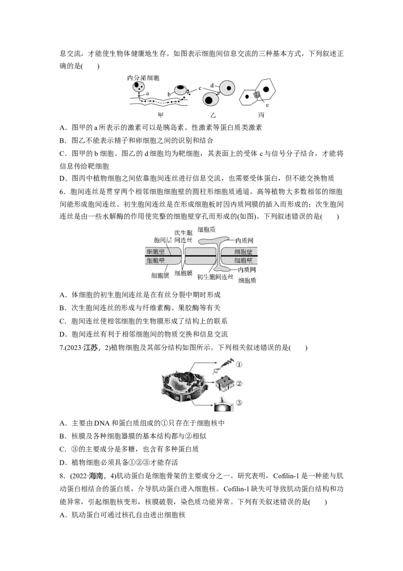 第二单元　课时练6细胞膜与细胞核的结构和功能_2025年新高考资料_一轮复习_2025大一轮复习讲义+课件（完结）_2025大一轮复习讲义生物学生用书Word版文档整书_2025一轮复习73练