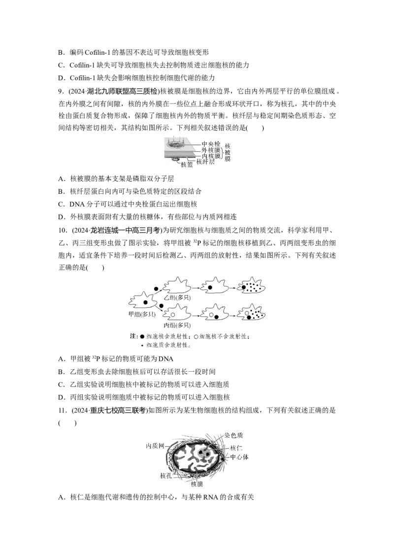 第二单元　课时练6细胞膜与细胞核的结构和功能_2025年新高考资料_一轮复习_2025大一轮复习讲义+课件（完结）_2025大一轮复习讲义生物学生用书Word版文档整书_2025一轮复习73练