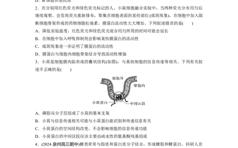第二单元　课时练6细胞膜与细胞核的结构和功能_2025年新高考资料_一轮复习_2025大一轮复习讲义+课件（完结）_2025大一轮复习讲义生物学生用书Word版文档整书_2025一轮复习73练