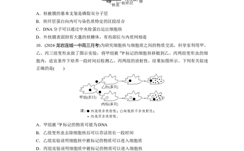 第二单元　课时练6细胞膜与细胞核的结构和功能_2025年新高考资料_一轮复习_2025大一轮复习讲义+课件（完结）_2025大一轮复习讲义生物学生用书Word版文档整书_2025一轮复习73练