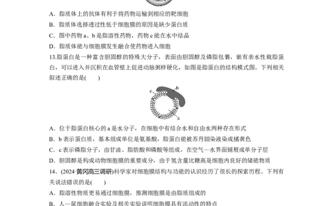 第二单元　课时练6细胞膜与细胞核的结构和功能_2025年新高考资料_一轮复习_2025大一轮复习讲义+课件（完结）_2025大一轮复习讲义生物学生用书Word版文档整书_2025一轮复习73练