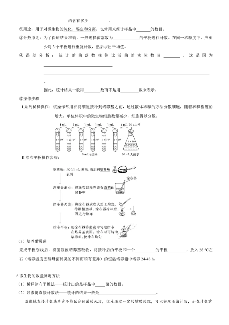 第50讲微生物的培养技术及应用（知识清单）_新高考复习资料_2025年新高考资料_备战2025年高考生物一轮复习课件+知识清单
