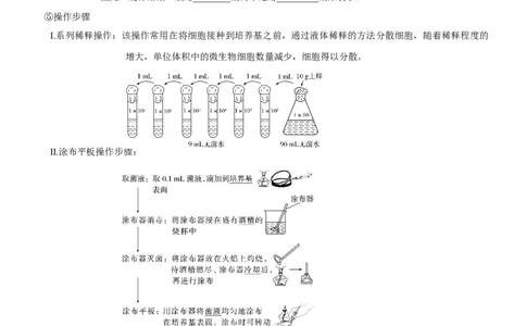 第50讲微生物的培养技术及应用（知识清单）_新高考复习资料_2025年新高考资料_备战2025年高考生物一轮复习课件+知识清单