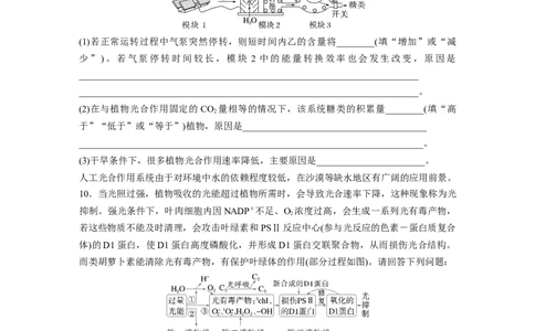第三单元　专题突破3长句表达集训_2025年新高考资料_一轮复习_2025大一轮复习讲义+课件（完结）_2025大一轮复习讲义生物学生用书Word版文档整书_2025一轮复习73练