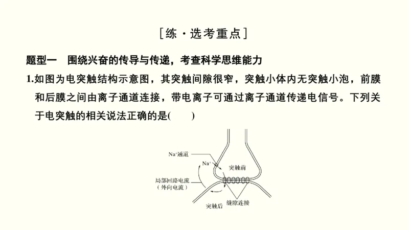 第十一单元神经调节、体液调节与免疫调节（教案）_新高考复习资料_2022年新高考复习资料_2022届一轮复习讲练结合7.13更新_系列一_第十一单元神经调节、体液调节与免疫调节