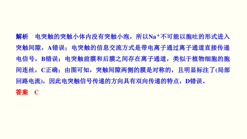 第十一单元神经调节、体液调节与免疫调节（教案）_新高考复习资料_2022年新高考复习资料_2022届一轮复习讲练结合7.13更新_系列一_第十一单元神经调节、体液调节与免疫调节