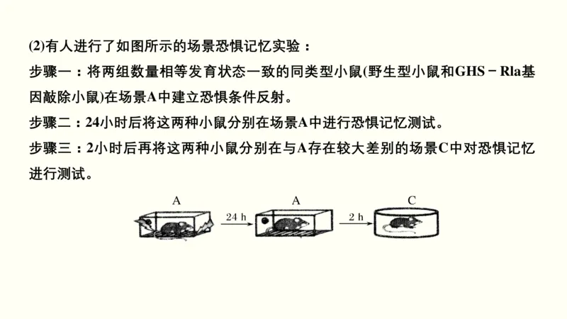 第十一单元神经调节、体液调节与免疫调节（教案）_新高考复习资料_2022年新高考复习资料_2022届一轮复习讲练结合7.13更新_系列一_第十一单元神经调节、体液调节与免疫调节