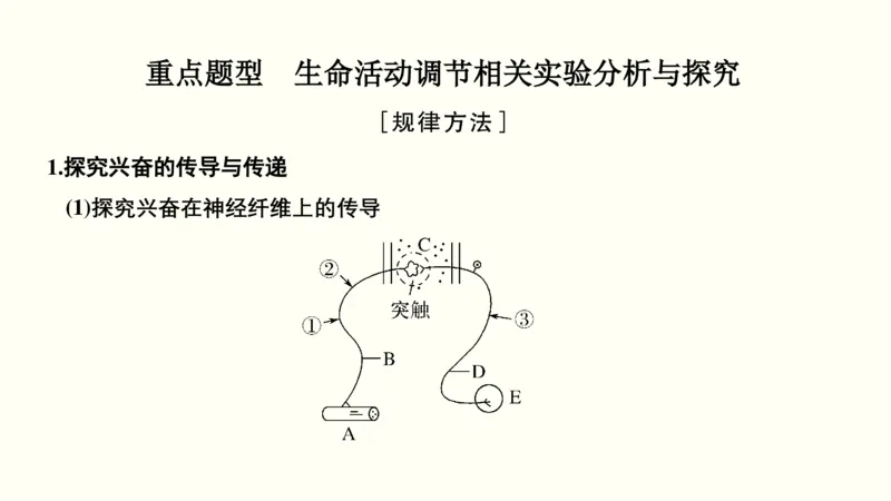 第十一单元神经调节、体液调节与免疫调节（教案）_新高考复习资料_2022年新高考复习资料_2022届一轮复习讲练结合7.13更新_系列一_第十一单元神经调节、体液调节与免疫调节