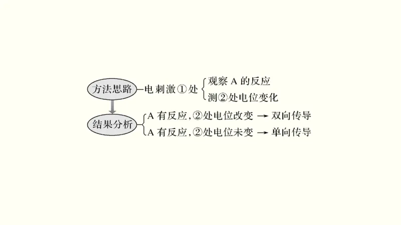 第十一单元神经调节、体液调节与免疫调节（教案）_新高考复习资料_2022年新高考复习资料_2022届一轮复习讲练结合7.13更新_系列一_第十一单元神经调节、体液调节与免疫调节