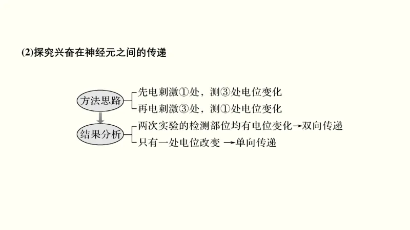 第十一单元神经调节、体液调节与免疫调节（教案）_新高考复习资料_2022年新高考复习资料_2022届一轮复习讲练结合7.13更新_系列一_第十一单元神经调节、体液调节与免疫调节