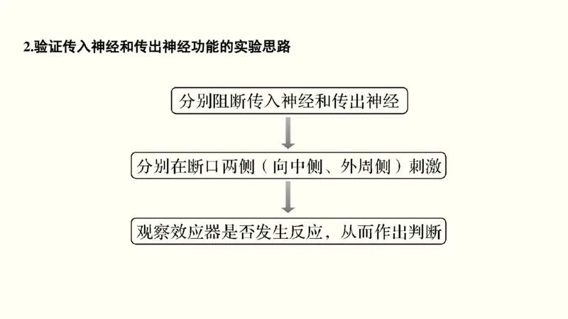 第十一单元神经调节、体液调节与免疫调节（教案）_新高考复习资料_2022年新高考复习资料_2022届一轮复习讲练结合7.13更新_系列一_第十一单元神经调节、体液调节与免疫调节