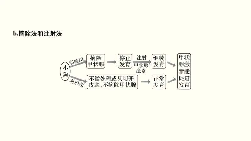 第十一单元神经调节、体液调节与免疫调节（教案）_新高考复习资料_2022年新高考复习资料_2022届一轮复习讲练结合7.13更新_系列一_第十一单元神经调节、体液调节与免疫调节