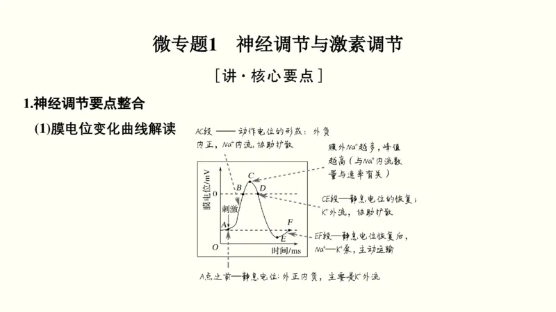 第十一单元神经调节、体液调节与免疫调节（教案）_新高考复习资料_2022年新高考复习资料_2022届一轮复习讲练结合7.13更新_系列一_第十一单元神经调节、体液调节与免疫调节