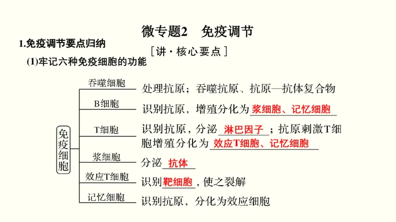 第十一单元神经调节、体液调节与免疫调节（教案）_新高考复习资料_2022年新高考复习资料_2022届一轮复习讲练结合7.13更新_系列一_第十一单元神经调节、体液调节与免疫调节
