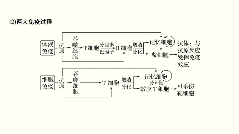 第十一单元神经调节、体液调节与免疫调节（教案）_新高考复习资料_2022年新高考复习资料_2022届一轮复习讲练结合7.13更新_系列一_第十一单元神经调节、体液调节与免疫调节