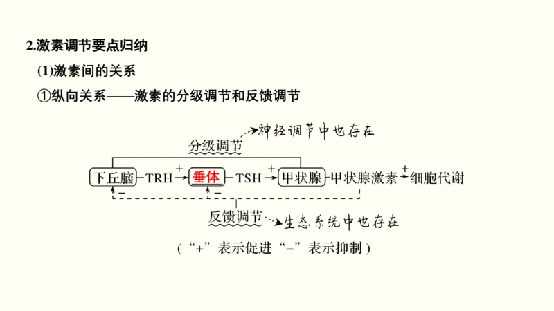 第十一单元神经调节、体液调节与免疫调节（教案）_新高考复习资料_2022年新高考复习资料_2022届一轮复习讲练结合7.13更新_系列一_第十一单元神经调节、体液调节与免疫调节