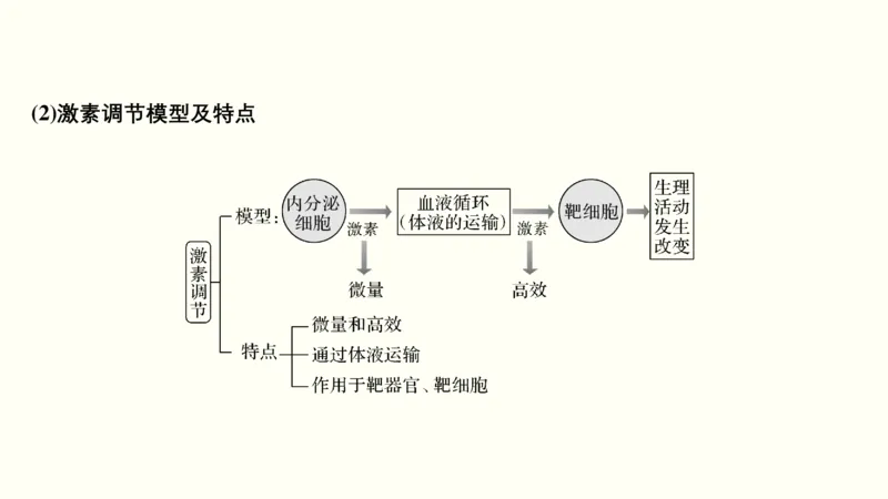 第十一单元神经调节、体液调节与免疫调节（教案）_新高考复习资料_2022年新高考复习资料_2022届一轮复习讲练结合7.13更新_系列一_第十一单元神经调节、体液调节与免疫调节