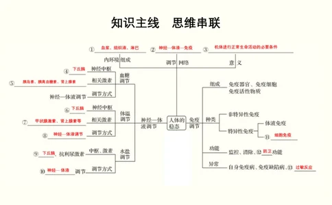 第十一单元神经调节、体液调节与免疫调节（教案）_新高考复习资料_2022年新高考复习资料_2022届一轮复习讲练结合7.13更新_系列一_第十一单元神经调节、体液调节与免疫调节