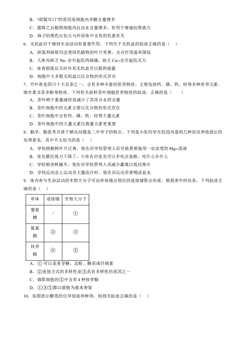 第一单元细胞的概述及其组成分子（测试）（原卷版）_2025年新高考资料_一轮复习_2025年高考生物一轮复习讲练测（新教材新高考）