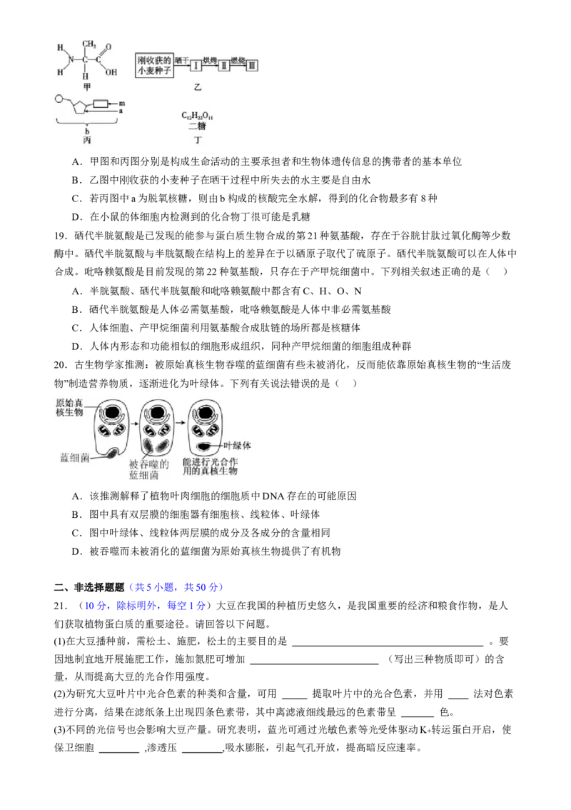 第一单元细胞的概述及其组成分子（测试）（原卷版）_2025年新高考资料_一轮复习_2025年高考生物一轮复习讲练测（新教材新高考）