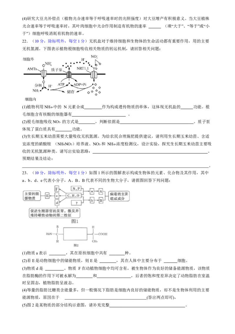 第一单元细胞的概述及其组成分子（测试）（原卷版）_2025年新高考资料_一轮复习_2025年高考生物一轮复习讲练测（新教材新高考）