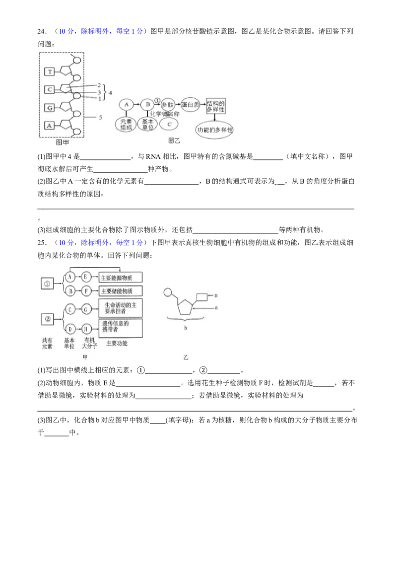 第一单元细胞的概述及其组成分子（测试）（原卷版）_2025年新高考资料_一轮复习_2025年高考生物一轮复习讲练测（新教材新高考）