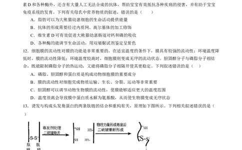 第一单元细胞的概述及其组成分子（测试）（原卷版）_2025年新高考资料_一轮复习_2025年高考生物一轮复习讲练测（新教材新高考）