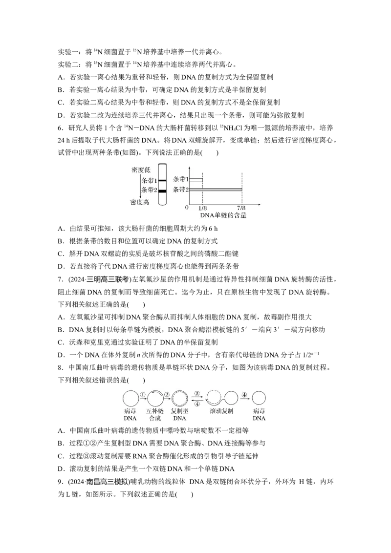 第六单元　课时练30DNA的结构与复制_2025年新高考资料_一轮复习_2025大一轮复习讲义+课件（完结）_2025大一轮复习讲义生物学生用书Word版文档整书_2025一轮复习73练
