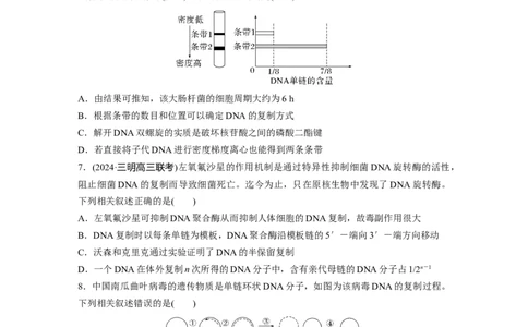 第六单元　课时练30DNA的结构与复制_2025年新高考资料_一轮复习_2025大一轮复习讲义+课件（完结）_2025大一轮复习讲义生物学生用书Word版文档整书_2025一轮复习73练