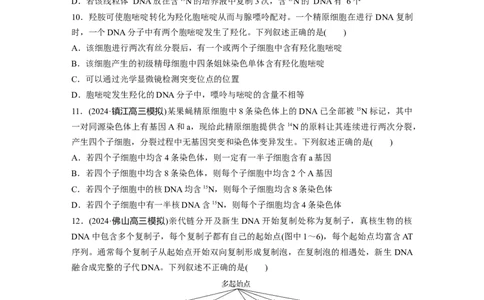 第六单元　课时练30DNA的结构与复制_2025年新高考资料_一轮复习_2025大一轮复习讲义+课件（完结）_2025大一轮复习讲义生物学生用书Word版文档整书_2025一轮复习73练