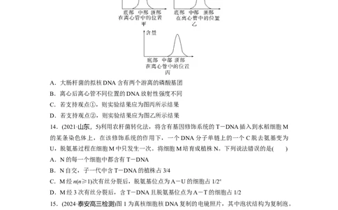 第六单元　课时练30DNA的结构与复制_2025年新高考资料_一轮复习_2025大一轮复习讲义+课件（完结）_2025大一轮复习讲义生物学生用书Word版文档整书_2025一轮复习73练
