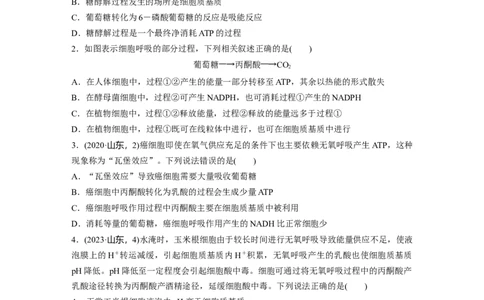第三单元　课时练14无氧呼吸、细胞呼吸的影响因素及其应用_2025年新高考资料_一轮复习_2025大一轮复习讲义+课件（完结）_2025大一轮复习讲义生物学生用书Word版文档整书