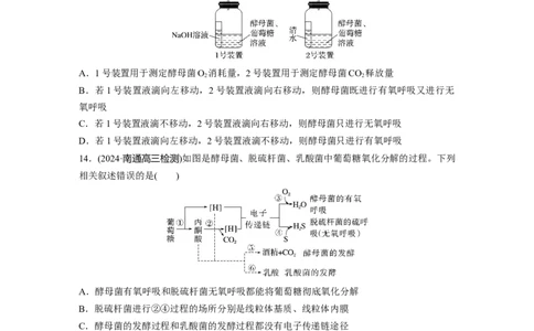 第三单元　课时练14无氧呼吸、细胞呼吸的影响因素及其应用_2025年新高考资料_一轮复习_2025大一轮复习讲义+课件（完结）_2025大一轮复习讲义生物学生用书Word版文档整书