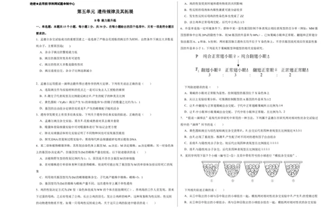 第五单元遗传规律及其拓展（B卷能力提升练）-2022年高考生物一轮复习单元滚动双测卷（考试版）_新高考复习资料_2023年新高考复习资料_一轮复习