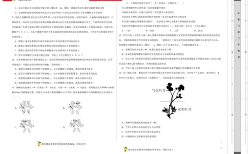 第五单元遗传规律及其拓展（B卷能力提升练）-2022年高考生物一轮复习单元滚动双测卷（考试版）_新高考复习资料_2023年新高考复习资料_一轮复习