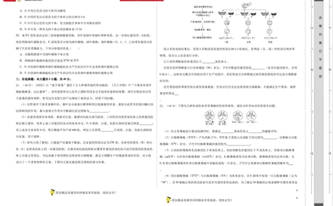 第五单元遗传规律及其拓展（B卷能力提升练）-2022年高考生物一轮复习单元滚动双测卷（考试版）_新高考复习资料_2023年新高考复习资料_一轮复习