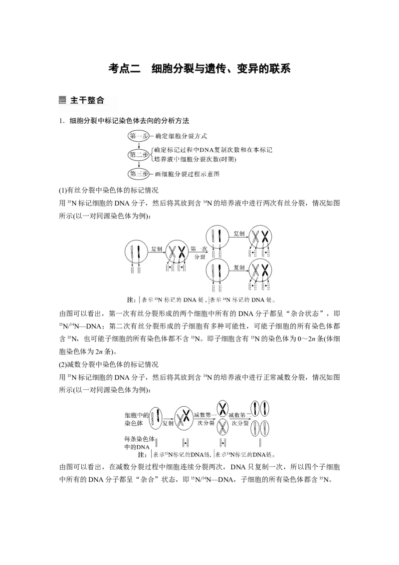 第一篇专题三考点二　细胞分裂与遗传、变异的联系_通用版（老高考）复习资料_2023年复习资料_二轮复习_2023年高考生物二轮复习讲义+课件（全国版）_学生版_大二轮专题复习讲义