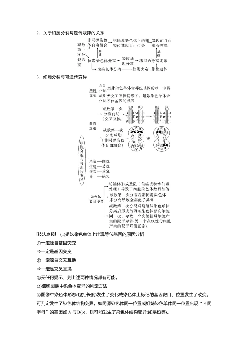 第一篇专题三考点二　细胞分裂与遗传、变异的联系_通用版（老高考）复习资料_2023年复习资料_二轮复习_2023年高考生物二轮复习讲义+课件（全国版）_学生版_大二轮专题复习讲义