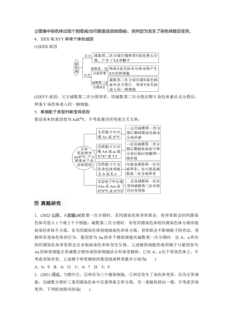 第一篇专题三考点二　细胞分裂与遗传、变异的联系_通用版（老高考）复习资料_2023年复习资料_二轮复习_2023年高考生物二轮复习讲义+课件（全国版）_学生版_大二轮专题复习讲义