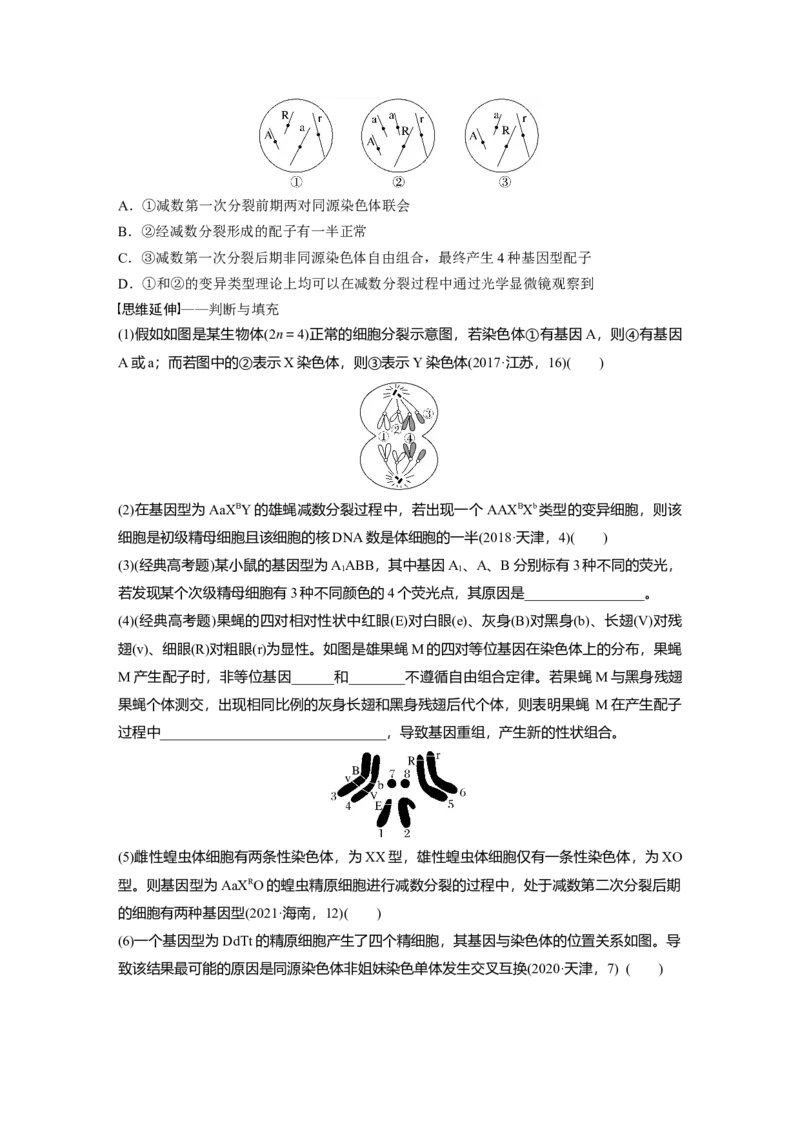 第一篇专题三考点二　细胞分裂与遗传、变异的联系_通用版（老高考）复习资料_2023年复习资料_二轮复习_2023年高考生物二轮复习讲义+课件（全国版）_学生版_大二轮专题复习讲义