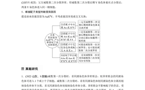 第一篇专题三考点二　细胞分裂与遗传、变异的联系_通用版（老高考）复习资料_2023年复习资料_二轮复习_2023年高考生物二轮复习讲义+课件（全国版）_学生版_大二轮专题复习讲义