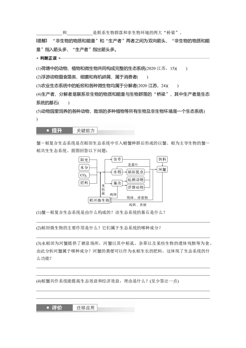 第九单元　第51课时　生态系统的结构_2025年新高考资料_一轮复习_2025大一轮复习讲义+课件（完结）_2025大一轮复习讲义生物学生用书Word版文档整书_2025大一轮复习讲义
