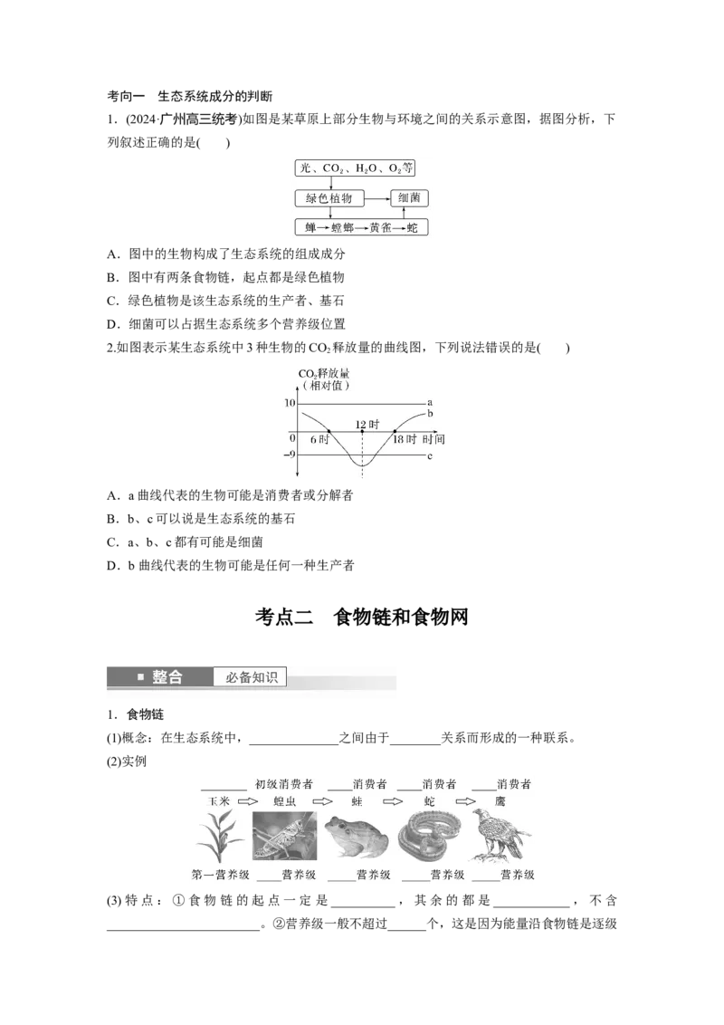 第九单元　第51课时　生态系统的结构_2025年新高考资料_一轮复习_2025大一轮复习讲义+课件（完结）_2025大一轮复习讲义生物学生用书Word版文档整书_2025大一轮复习讲义