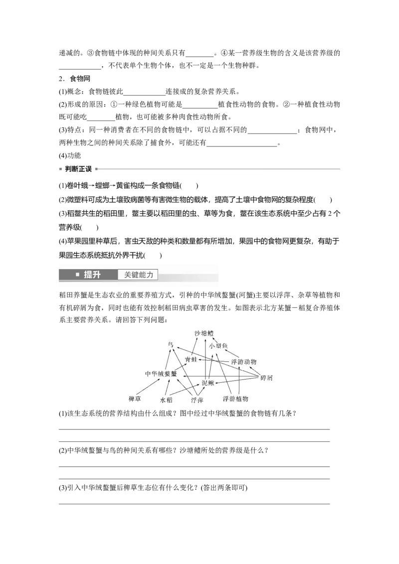 第九单元　第51课时　生态系统的结构_2025年新高考资料_一轮复习_2025大一轮复习讲义+课件（完结）_2025大一轮复习讲义生物学生用书Word版文档整书_2025大一轮复习讲义