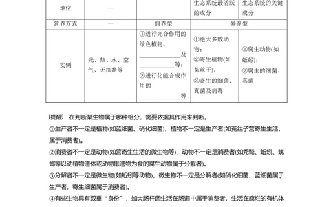 第九单元　第51课时　生态系统的结构_2025年新高考资料_一轮复习_2025大一轮复习讲义+课件（完结）_2025大一轮复习讲义生物学生用书Word版文档整书_2025大一轮复习讲义